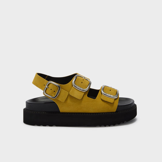 Blake - Yellow