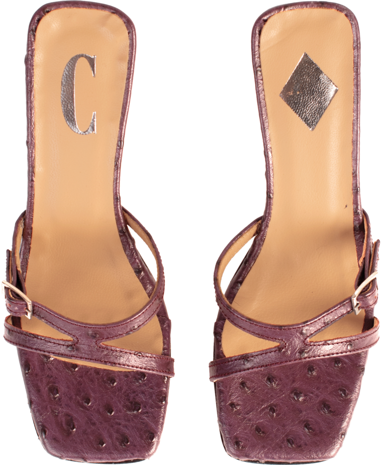 Augusta - Ostrich Purple