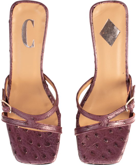 Augusta - Ostrich Purple
